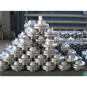 DN10-DN2000 ASTM / DIN Standard Ss A182 304L 316L Brida de aceiro forxado 